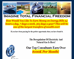 Ambit Energy - Custom Lead Capture Page