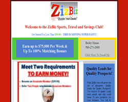 ZizBiz - Custom Lead Capture Page