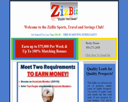 ZizBiz - Custom Lead Capture Page